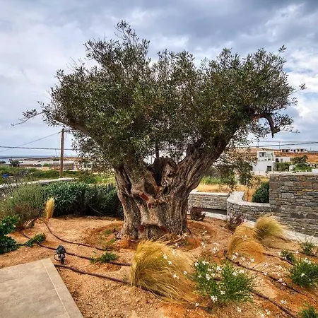 Villa Grand Reve Paros *