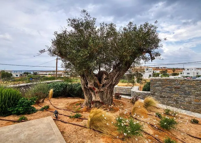 Villa Grand Rêve Paros *